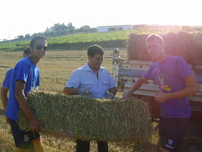 Preparazione campo (4).JPG